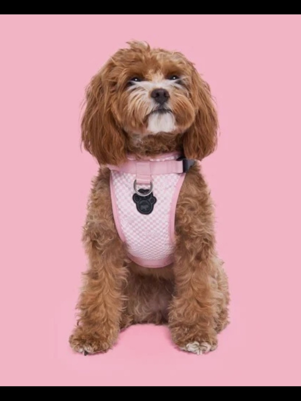 Barbie Canada Pooch Everything Harness XL